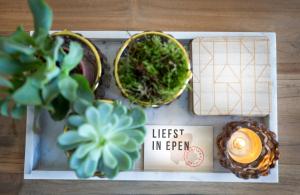 een blad met een plant en een bord met de woorden strooisel inez bij Vakantiewoningen Liefst in Epen in Epen