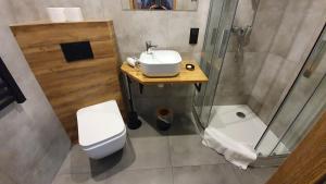 Willa Widokowa tesisinde bir banyo