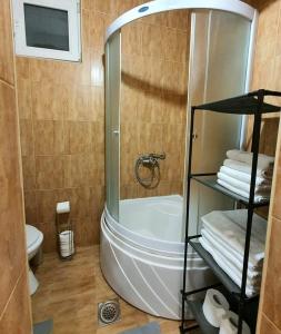 a bathroom with a shower and a tub and a toilet at Emerald Apartment Belgrade in Senjak (historical)