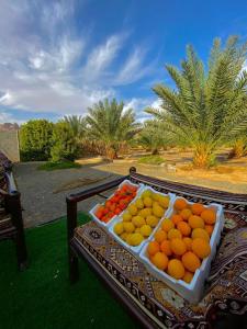 a tray of oranges and other fruits on a table at Almazham holiday house in Al-ʿUla