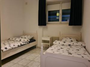 um quarto com 2 camas e uma janela em Renovierte Ferienwohnung im Zentrum von Locarno em Locarno