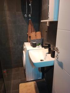 La petite salle de bains est pourvue d'un lavabo et de toilettes. dans l'établissement Apartman KLM, à Pančevo