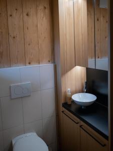 a bathroom with a toilet and a sink at Chalet Hittli 1065 - secret spot for unique vacay - inkl Gästekarte in Fliess