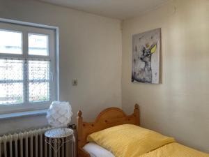 een slaapkamer met een bed en een raam bij Ferienwohnung Lukas in Frielendorf