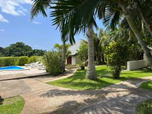 a yard with palm trees and a house at TRADEWINDS VILLAS in Port Vila