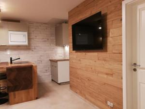 a kitchen with a wall with a flat screen tv at RIVER SIDE near FRANKFURT-AIR CONDITION-PRIVATE PARKING in Hainburg