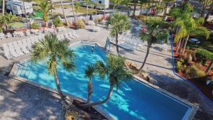 an overhead view of a swimming pool with palm trees at Tropical Palms Resort in Orlando