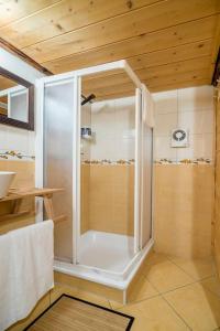 y baño con ducha y puerta de cristal. en "CHALET dei FIORI" room & apartment, en Bedretto