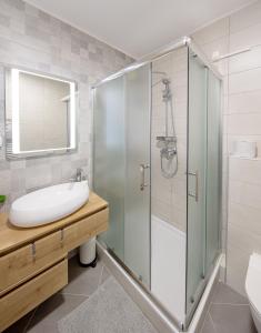 a bathroom with a glass shower and a sink at Chop Old House Hotel in Velika Gorica