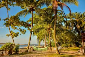 een hangmat tussen de palmbomen op het strand bij Pousada Vila Palma Boipeba in Ilha de Boipeba