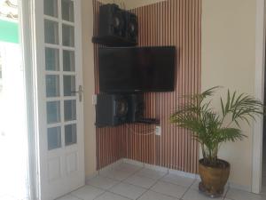 a living room with a tv and a plant at Casa do Gaspar in São Francisco do Sul