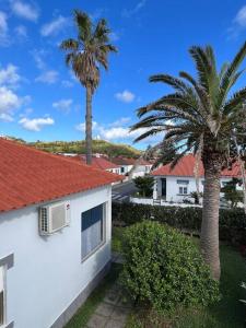 two palm trees and a white house with a red roof at Casa das Palmeiras - Res. of Elizabete and Fatima in Horta