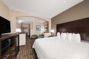 Postel nebo postele na pokoji v ubytování SureStay Plus Hotel by Best Western Plano