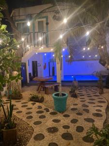 a patio with a table and a potted plant at Hotel Caracol Isla Mujeres in Isla Mujeres