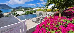 ル・ディアマンにあるstudio cosi, jardin privé, vue magique depuis piscine à débordement de la résidenceのピンクの花が咲き誇るバルコニーから海の景色を望めます。