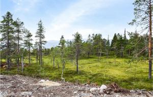 a grassy field with trees in the background at Beautiful Home In Fl With Kitchen in Flå