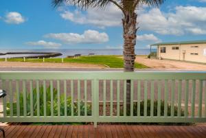 a white fence with a palm tree and the ocean at Edithburgh Caravan Park in Edithburgh