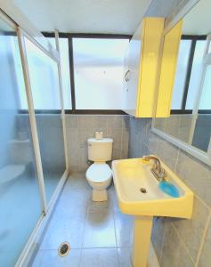 uma casa de banho com um WC e um lavatório em Amplio depto 3 rec excelente ubicación Polanco em Cidade do México