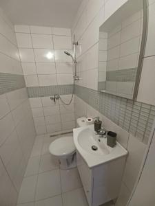 a white bathroom with a toilet and a sink at Aquas AP in Petrijanec +28 photos