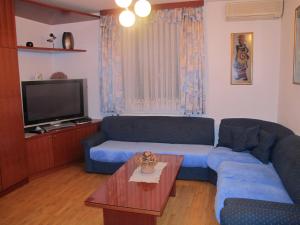 TV a/nebo společenská místnost v ubytování Apartment Sobe Ravbar