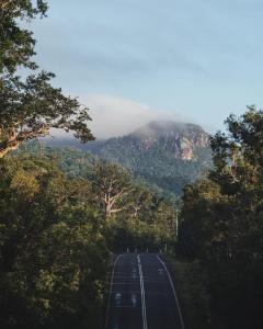 a road in the middle of a mountain with trees at Getaways at Byfield in Byfield