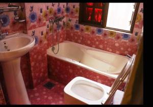 Vannituba majutusasutuses Harry's Home