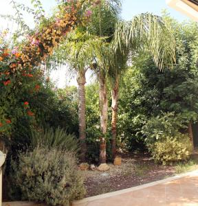 Gallery image of B&B Villa il Sughero in Monopoli
