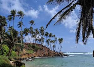 una playa con palmeras y el océano en Pravindi Guest Home en Mirissa