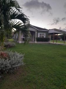 a house with a palm tree in a yard at HARMONY LA VISTA in Runaway Bay