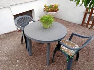 a table and two chairs and a potted plant at Villa Détente Dauphinoise in Saint-André-le-Gaz