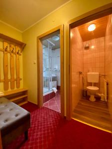 a bathroom with a shower and a toilet in it at Appartement Hubner in Ramsau am Dachstein