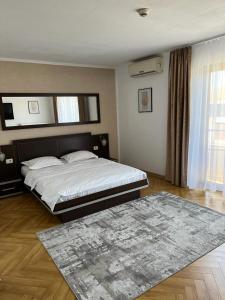 a bedroom with a large bed and a rug at Pensiunea Max in Cluj-Napoca