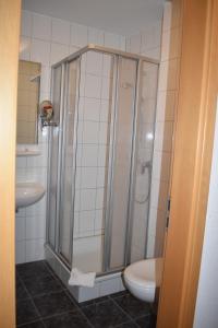 een badkamer met een douche, een toilet en een wastafel bij Hotel Alte Post Ostbevern in Ostbevern