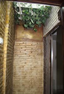 a group of potted plants hanging from a brick wall at شقق فاخرة للايجار مفروش مصر الجديدة مساكن الشيراتون in Cairo