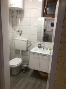 a bathroom with a toilet and a sink at Apartman Petrovic- 300m od gondole in Brzeće