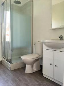 a bathroom with a toilet and a sink and a shower at Asteria in Ouistreham