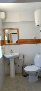 La salle de bains est pourvue d'un lavabo, de toilettes et d'un miroir. dans l'établissement Gemoor Khar- Manor House, à Jispa