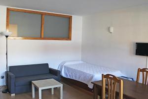 una camera con letto, divano e tavolo di Estudis Turístics Cims Pas 3000 a Pas de la Casa
