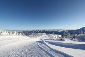 een met sneeuw bedekte skipiste met sporen in de sneeuw bij Shiga Ichii Hotel in Yamanouchi