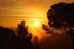una puesta de sol con árboles en primer plano en Hauzify I Ca la Nena Morena en Villalba Saserra