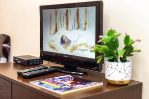 Telewizja i/lub zestaw kina domowego w obiekcie Apartaments Piotrkowska 101