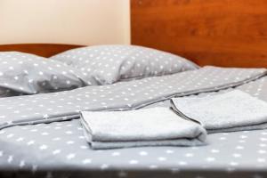 Łóżko lub łóżka w pokoju w obiekcie Apartaments Piotrkowska 101