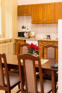 Kuchnia lub aneks kuchenny w obiekcie Apartaments Piotrkowska 101