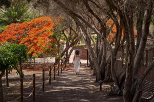 a woman walking down a path through trees with orange flowers at Redondo de Guayedra in Guayedra