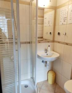 La salle de bains est pourvue d'une douche et d'un lavabo. dans l'établissement Willa Słotwinka, à Krynica-Zdrój
