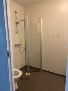 uma casa de banho com um WC e uma cabina de duche. em Molde Vandrerhjem Hostel em Molde