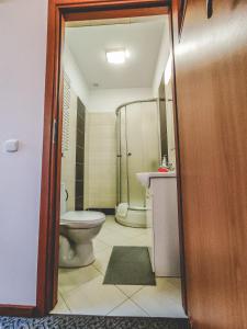a bathroom with a toilet and a sink and a shower at Hotel Na Wzgórzu in Gniew