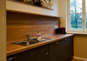 a kitchen with a sink and a wooden wall at Parkresidenz Lychen Ferienwohnung 2 in Lychen