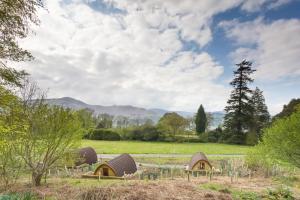 a group of small huts in a field with trees at Derwentwater Independent Hostel in Keswick