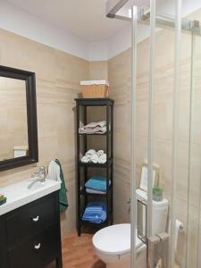 a bathroom with a shower and a toilet and a sink at Precioso apartamento con terraza en piso superior in Los Realejos